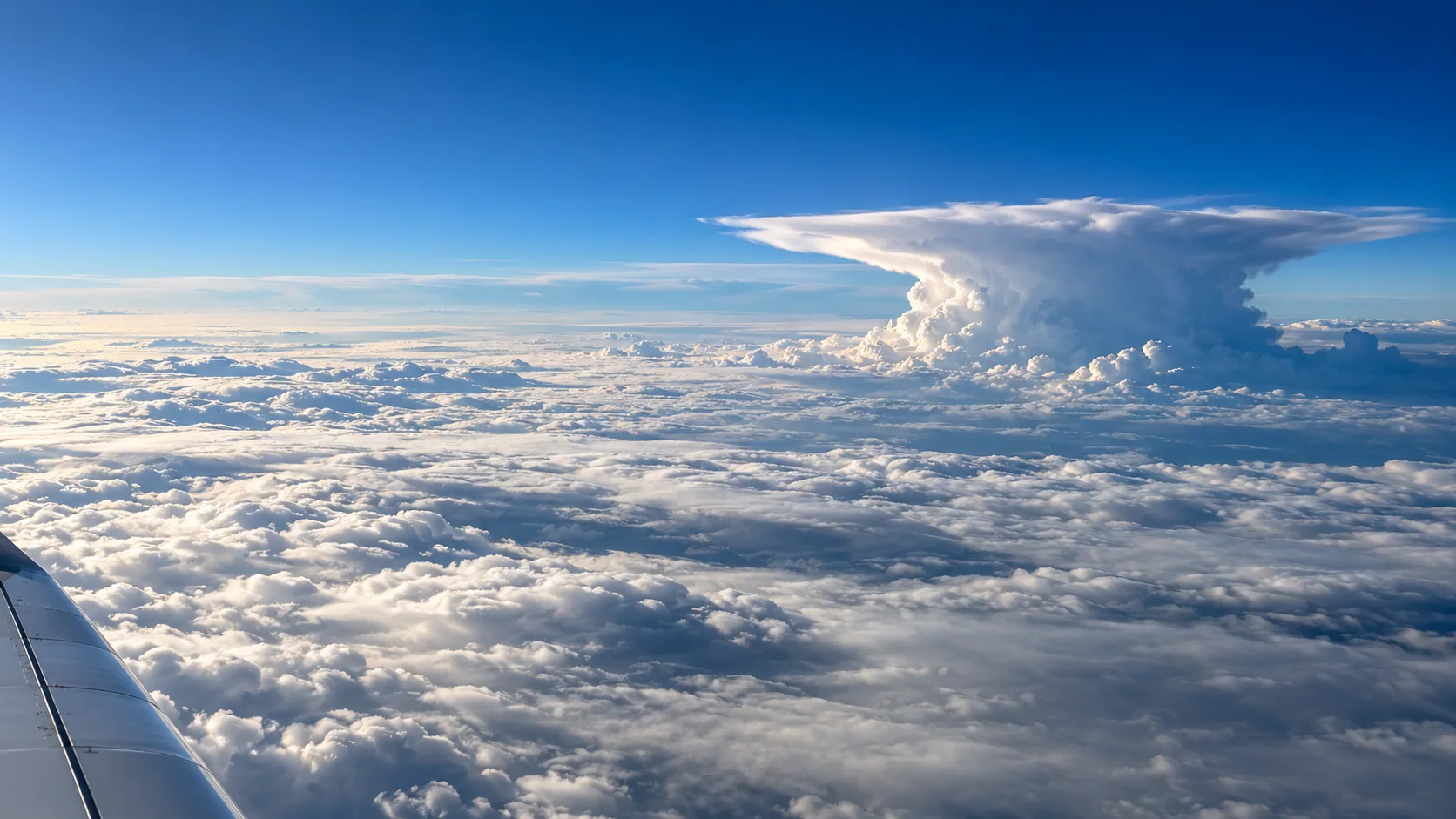 View from above a broad cloud deck and developing storm tower